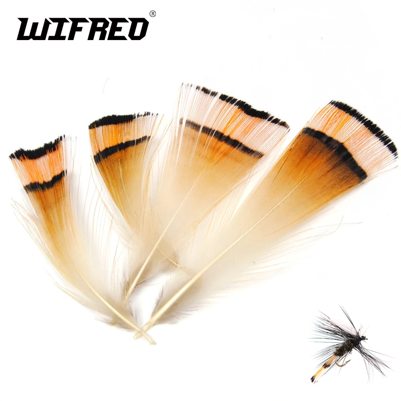 Fishing Equipment Brands - 50PCS Natural Color Golden Pheasant Head