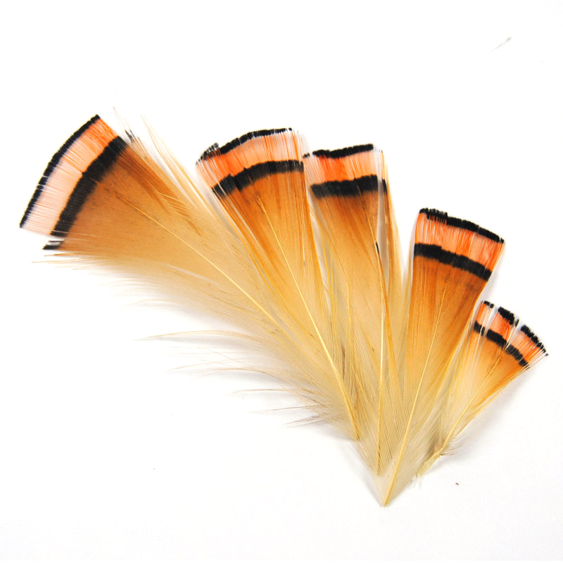 50PCS Natural Color Golden Phe - Fishing Equipment Brands 评论和价格
